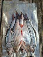 Doodaas voorn/platter, Watersport en Boten, Hengelsport | Roofvissen, Ophalen of Verzenden, Nieuw