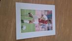 Foto 20x25cm met handtekening; John O'Brien # Ajax, Verzamelen, Sportartikelen en Voetbal, Verzenden, Nieuw, Ajax