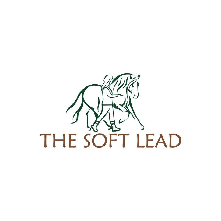 Grondwerkles, dressuurles en clickertraining, Diensten en Vakmensen, Dieren | Paarden | Verzorging, Oppas en Les, Gedragstraining