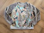 Super leuke trui van Marccain, maat N4 = 40, Kleding | Dames, Maat 38/40 (M), Ophalen of Verzenden, Zo goed als nieuw, Grijs