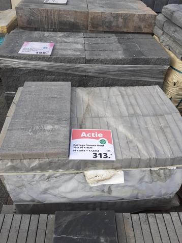 Beton Tuintegel Lichtgrijs 30x60x4cm beschikbaar voor biedingen