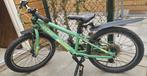 Stoere Cube acid 20 inch kinder mountainbike | groen, Ophalen, Gebruikt, 20 inch of meer, Cube