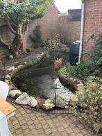 Vijver, toebehoren en vissen, Ophalen, Gebruikt