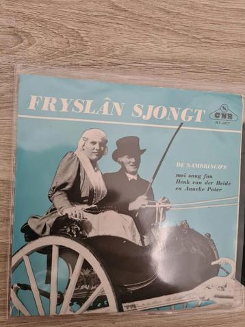 De Sambrinco´s/ Fryslan sjongt  beschikbaar voor biedingen