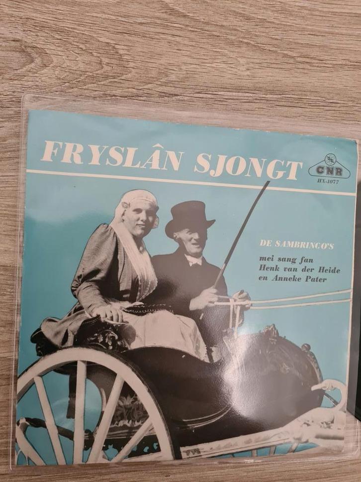 De Sambrinco´s/ Fryslan sjongt, Cd's en Dvd's, Vinyl | Nederlandstalig, Gebruikt, Levenslied of Smartlap, Overige formaten, Ophalen of Verzenden