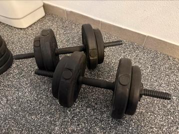2 halters / dumbbells  beschikbaar voor biedingen