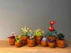 Lego botanical miniplantjes €40,-, Ophalen of Verzenden, Zo goed als nieuw