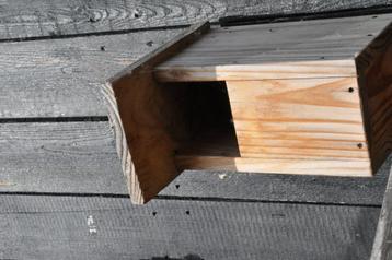 roodstaartvogelhuis beschikbaar voor biedingen