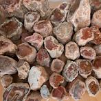 Actie! Fossiele Versteend Hout stammetjes mineraal edelsteen, Ophalen of Verzenden, Mineraal