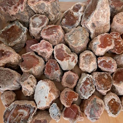 Actie! Fossiele Versteend Hout stammetjes mineraal edelsteen, Verzamelen, Mineralen en Fossielen, Mineraal, Ophalen of Verzenden