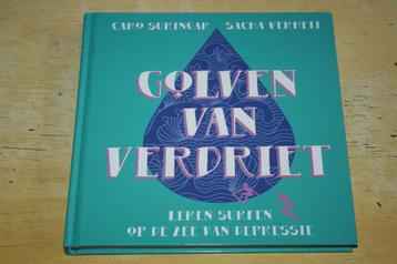 Golven van verdriet Leren surfen op de zee van depressie  beschikbaar voor biedingen
