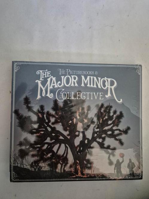 The Picturebooks - The Major minor collective. Cd. NIEUW., Cd's en Dvd's, Cd's | Rock, Nieuw in verpakking, Alternative, Ophalen of Verzenden