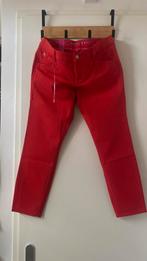 Alberto Golfbroek Rood - Mona Capri - Maat 42, Kleding | Dames, Maat 42/44 (L), Nieuw, Ophalen of Verzenden, Driekwart