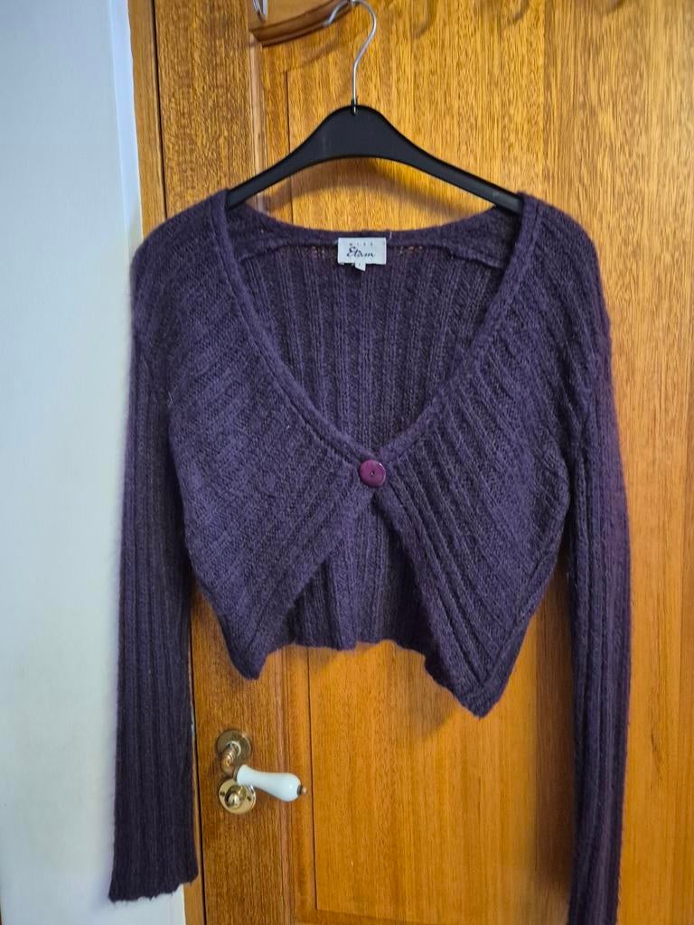 Bolero ,mt 38-40, Maat 38/40 (M), Paars, Ophalen of Verzenden, Zo goed als nieuw