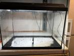 Aquarium juwel met lichtkap, Dieren en Toebehoren, Vissen | Aquaria en Toebehoren, Ophalen, Gebruikt, Leeg aquarium