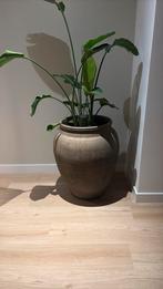 XL kruik taupe, Ophalen, Steen, Gebruikt, Overige kleuren