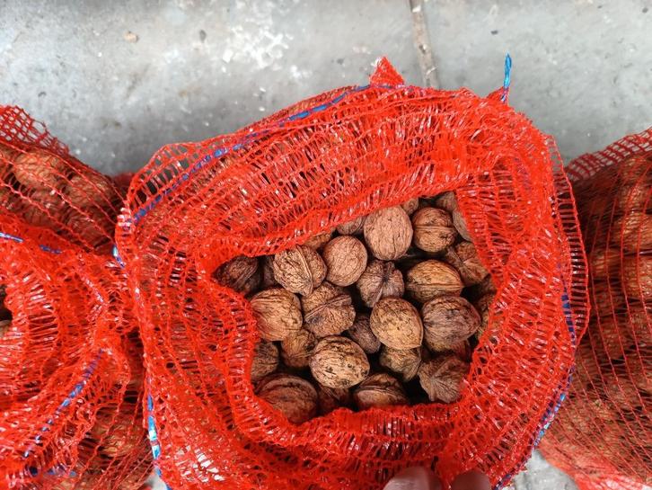 Walnoten, Diversen, Levensmiddelen, Ophalen