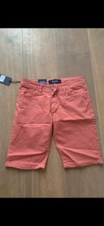 Korte broek maat 36, Ophalen of Verzenden, Nieuw, Maat 56/58 (XL)