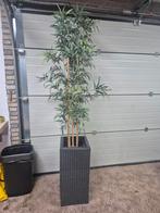 2 stuks Kunstplant Bamboe met Pot, Tuin en Terras, Overige soorten, Volle zon, Vaste plant, Ophalen of Verzenden