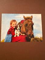 Oude Ansichtkaart - Paard, Meisje en Hond, Ophalen of Verzenden, 1960 tot 1980, Ongelopen, België en Luxemburg