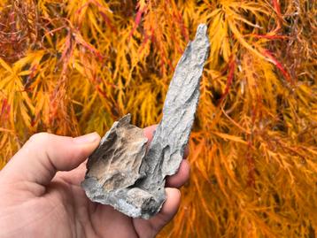 Bonsai Penjing rots ca. 6x5x15,4 beschikbaar voor biedingen