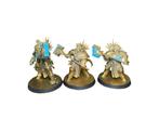 Warhammer Age of Sigmar Stormcast Eternals Retributors, Warhammer, Ophalen of Verzenden, Zo goed als nieuw, .