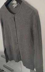 Peter hahn cashmere vest, Kleding | Dames, Truien en Vesten, Ophalen of Verzenden, Zo goed als nieuw, Grijs