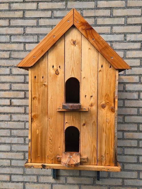 Duiven til, Dieren en Toebehoren, Vogels | Duiven, Postduif, Meerdere dieren