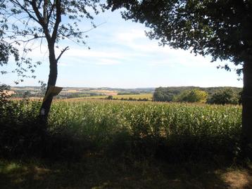 Leuke gezelschapsdame/vriendin gezocht