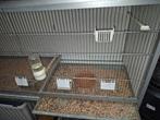 Broedkooien, Dieren en Toebehoren, Vogels | Hokken en Kooien, Ophalen of Verzenden, Aluminium, Broedkooi of Kweekkooi