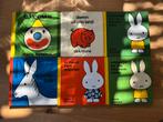 Nijntje leesboekjes Nederlands en Friestalig, Boeken, Kinderboeken | Baby's en Peuters, Ophalen of Verzenden, Zo goed als nieuw