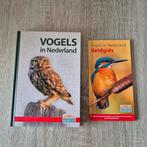 Te koop: Vogels in Nederland, Ophalen of Verzenden, Nieuw, Vogels