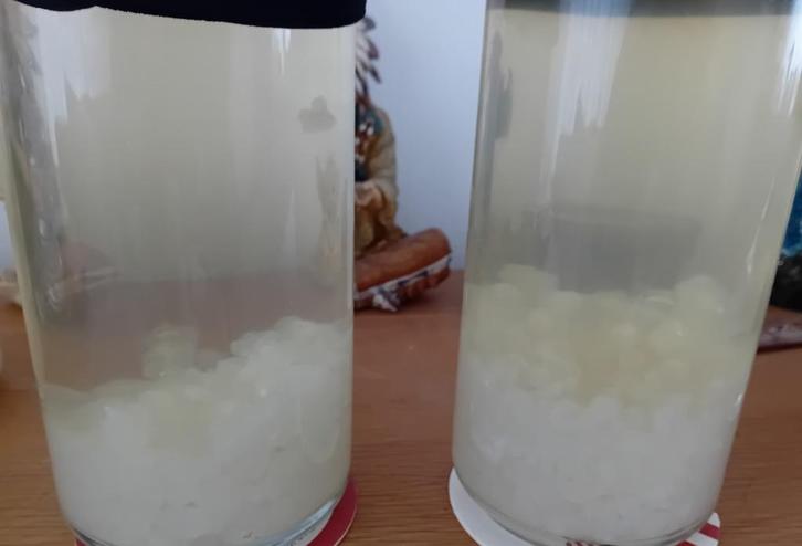 Biologische kefir korrels voor waterkefir, Diversen, Levensmiddelen, Ophalen