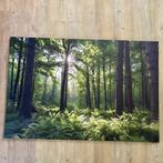 Groot natuur canvas bos met zonnestralen | 120x80 cm, Oorspronkelijke maker, Nieuw, Print, Info@demuurdecoratie.nl