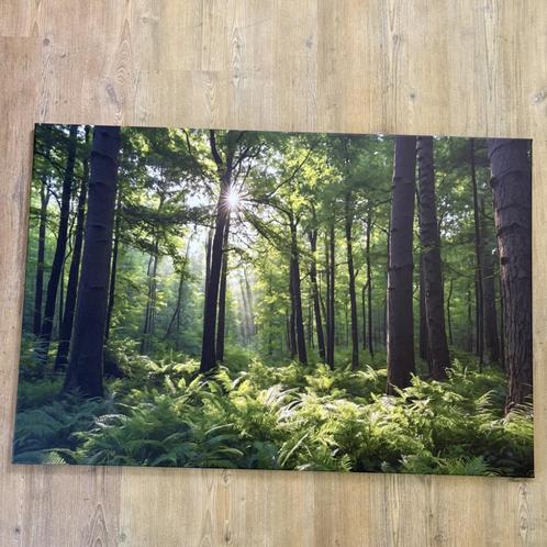Groot natuur canvas bos met zonnestralen | 120x80 cm, Huis en Inrichting, Woonaccessoires | Schilderijen, Tekeningen en Foto's