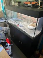 Tekoop aquarium met schildpadden, Ophalen of Verzenden, Zo goed als nieuw, Leeg aquarium