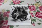Z/w Postkaart - Tijger Welp en Chimpansee Aap, Roofkatten, Verzenden, 1980 tot heden, Ongelopen, Wild dier