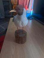 taxidermie taxidermy  opgezette "KOK MEEUW", Verzamelen, Dierenverzamelingen, Ophalen of Verzenden, Zo goed als nieuw, Vogel, Opgezet dier