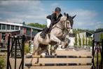 Zadelmak maken, doorrijden, uitbrengen paarden/pony's