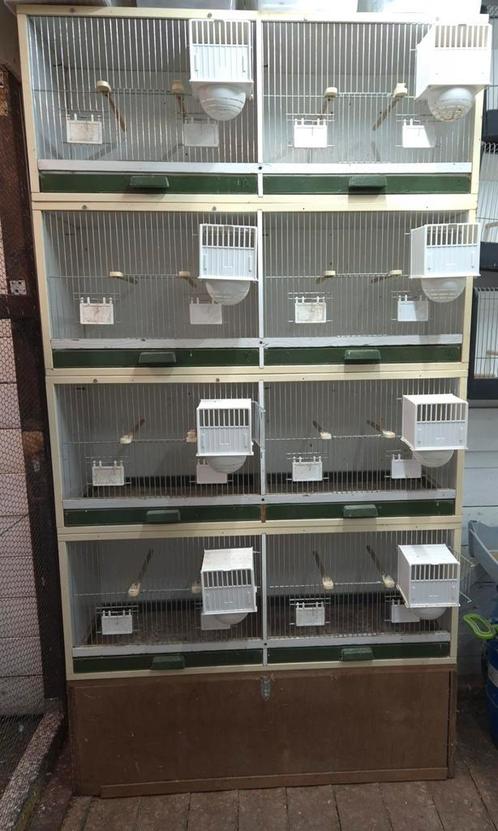 Vogel kweekstellingen, Dieren en Toebehoren, Vogels | Hokken en Kooien, Gebruikt, Broedkooi of Kweekkooi, Hout, Ophalen