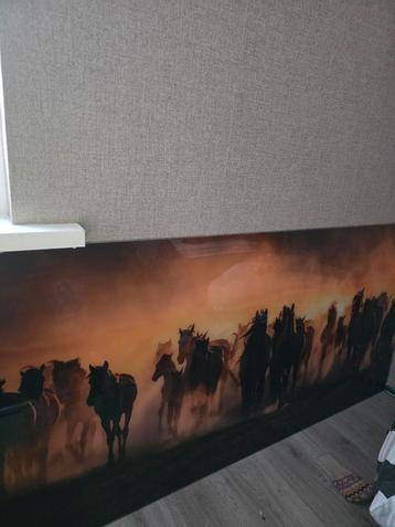glasschilderij wilde paarden 160x80 nw beschikbaar voor biedingen