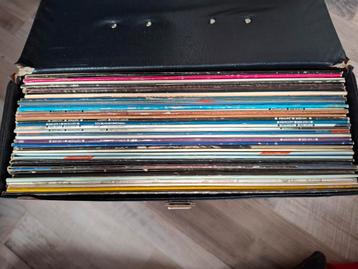 Opbergbak/koffer met vinyl LP's beschikbaar voor biedingen