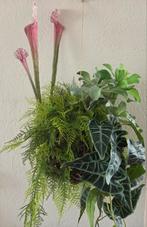 Kunstplant, hangplant hangbol kunstbloemen bloemstuk, Ophalen of Verzenden, Zo goed als nieuw