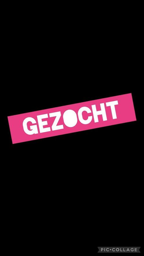 4 kittens gezocht uit 1 nestje, Dieren en Toebehoren, Katten en Kittens | Overige Katten, Meerdere dieren