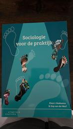 Siep van der Werf - Sociologie voor de praktijk, Sociale wetenschap, Ophalen of Verzenden, Zo goed als nieuw, Siep van der Werf; Klaas J. Hoeksema