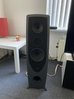 rega aya, Zo goed als nieuw, Minder dan 60 watt, Front, Rear of Stereo speakers, Ophalen