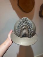 Kep italia 2.0 custom, Ophalen of Verzenden, Nieuw, Dressuur, Cap