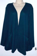 Laura Torelli vest maat XL (48/50), Ophalen of Verzenden, Zo goed als nieuw, Blauw, Trui of Vest