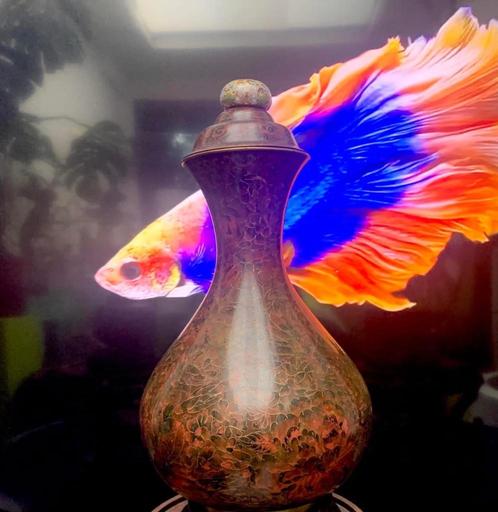 RARELY AWSOME SET OF BRAUWN CLOSONNE BIG ITEMS, Antiek en Kunst, Kunst | Overige Kunst, Ophalen