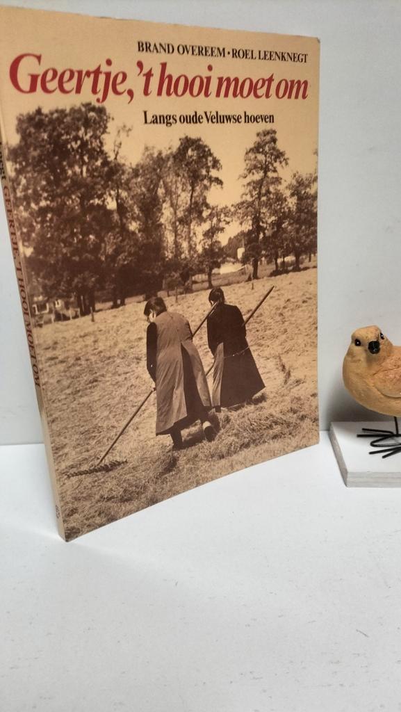 Overeem, Brand e.a.; Geertje, ‘t hooi moet om, Boeken, Geschiedenis | Stad en Regio, Gelezen, Ophalen of Verzenden